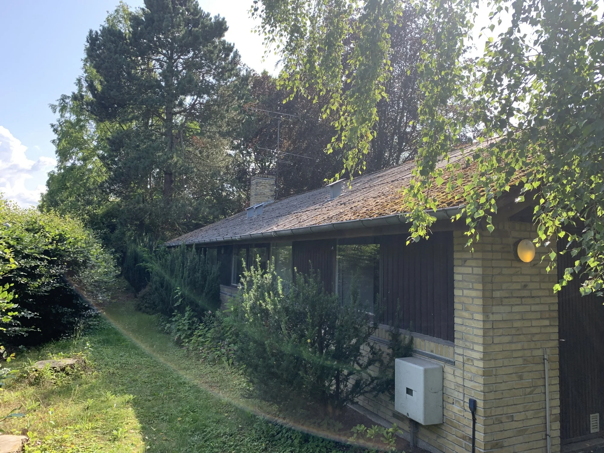 Før arbejdet – billede 2